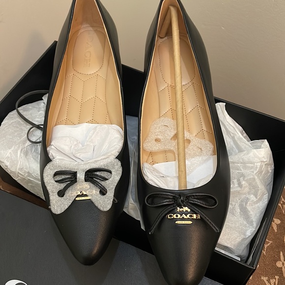 Brandnew Coach Annbel Leather Ballet Shoes - Picture 2 of 4